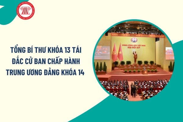 Pháp luật