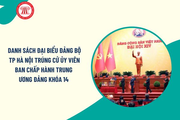 Pháp luật