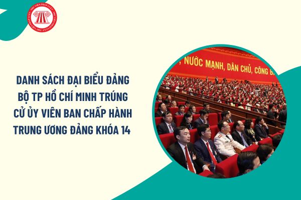 Pháp luật
