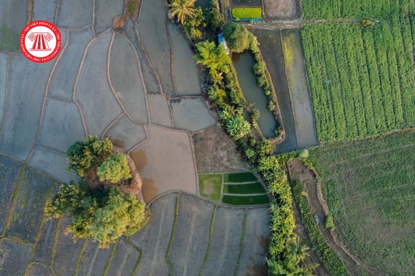 Mẫu tờ khai thuế sử dụng đất phi nông nghiệp đối với hộ gia đình là mẫu nào? Tải mẫu tờ khai về ở đâu? 