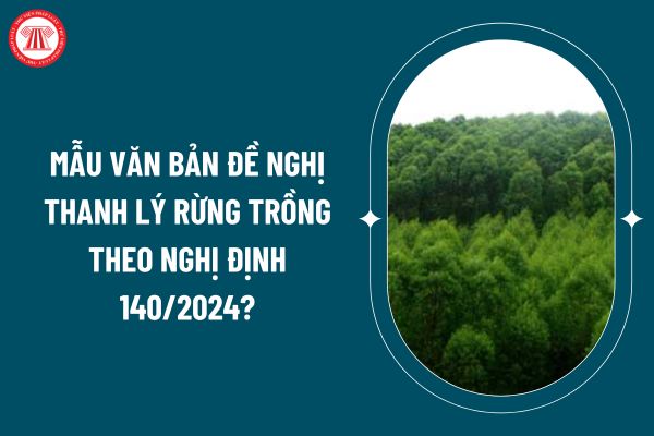 Mẫu văn bản đề nghị thanh lý rừng trồng theo Nghị định 140/2024? Trình tự, thủ tục thanh lý rừng trồng? (Hình từ internet)