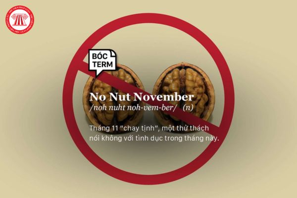 No Nut November là gì? Mức xử phạt khi chia sẻ thông tin dâm ô, đồi trụy khi tham gia No Nut November?