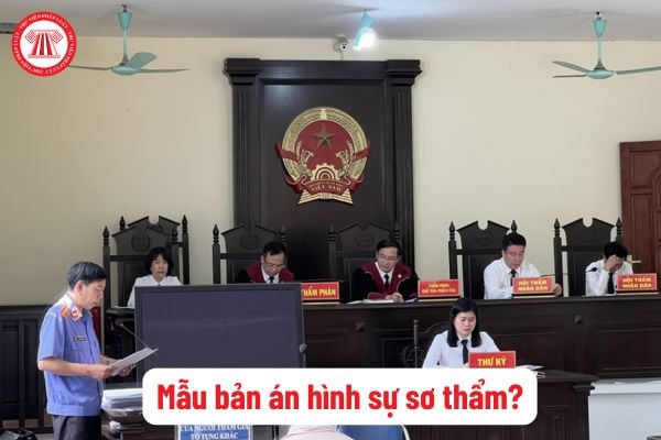 Tải về mẫu bản án hình sự sơ thẩm mới, chuẩn pháp lý? Trường hợp Viện kiểm sát được kháng nghị bản án?