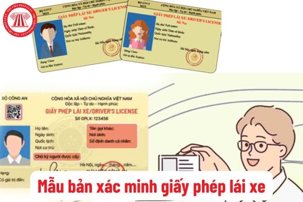 Tải mẫu bản xác minh giấy phép lái xe mới nhất hiện nay? Cách thức thực hiện xác minh giấy phép lái xe?