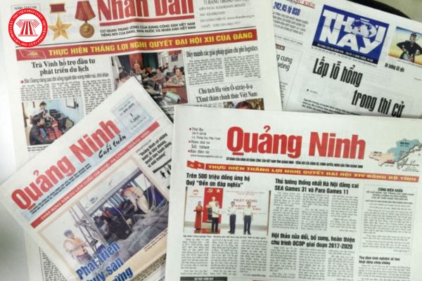 Công dân Việt Nam có được phát biểu ý kiến về tình hình đất nước và thế giới trên báo chí hay không?