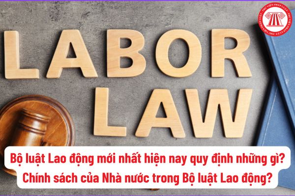 Bộ luật Lao động mới nhất hiện nay quy định những gì? Nhà nước tạo điều kiện thuận lợi đối với những hoạt động nào trong lao động?