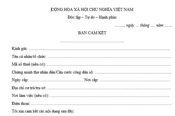 Mẫu giấy cam kết chịu trách nhiệm