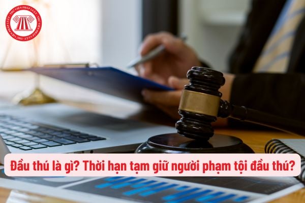 Trong tố tụng hình sự, đầu thú là gì? Thời hạn tạm giữ người phạm tội đầu thú là bao nhiêu ngày?