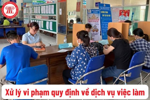 Dịch vụ việc làm là gì? Vi phạm quy định về dịch vụ việc làm bị xử lý hành chính ra sao theo quy định?