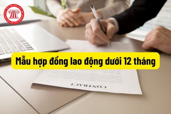 Tải mẫu hợp đồng lao động dưới 12 tháng mới nhất? Thời điểm hợp đồng lao động dưới 12 tháng có hiệu lực?