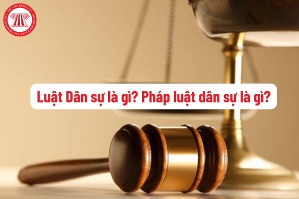 Luật Dân sự là gì? Pháp luật dân sự là gì? Theo nguyên tắc, cá nhân, pháp nhân phải xác lập, thực hiện và chấm dứt quyền, nghĩa vụ như thế nào?