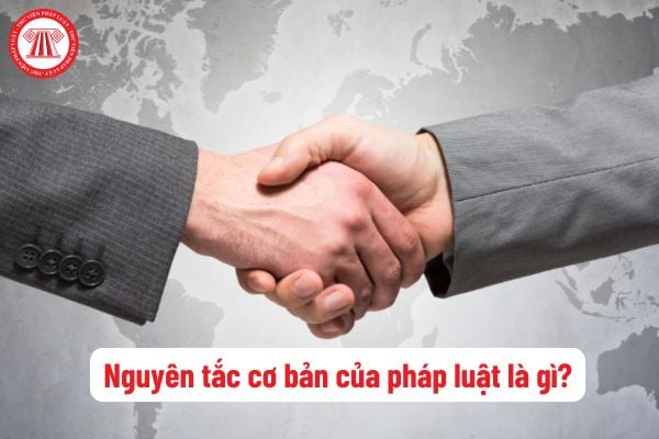 Nguyên tắc cơ bản của pháp luật là gì? Trong hoạt động thương mại, những nguyên tắc cơ bản gồm những nguyên tắc nào?