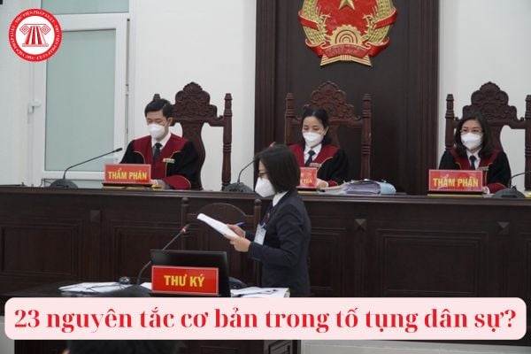 23 nguyên tắc cơ bản trong tố tụng dân sự? Tranh chấp về dân sự thuộc thẩm quyền giải quyết của Tòa án có bao gồm tranh chấp đất đai?