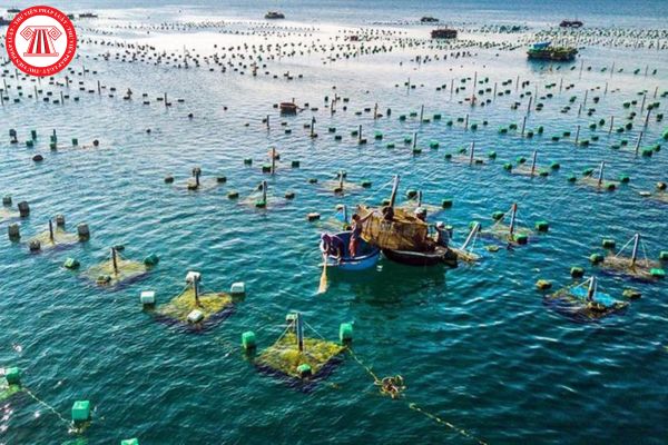Cơ sở nuôi trồng thủy sản trên biển phải có cơ sở vật chất và trang thiết bị kỹ thuật phù hợp với đối tượng và hình thức nuôi đúng không?
