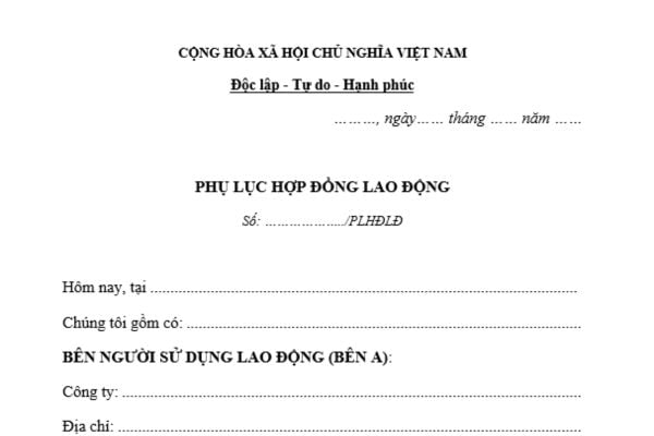 phụ lục hợp đồng lao động