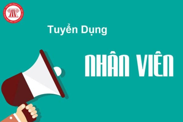 Mức phạt hành chính trong vi phạm về tuyển dụng, quản lý lao động được quy định như thế nào?