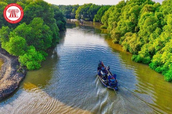 Hồ sơ thành lập khu rừng đặc dụng phải có những bản chính của giấy tờ nào theo quy định hiện nay?