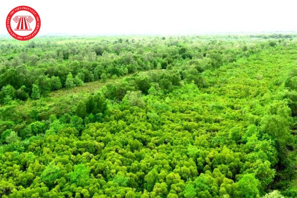 Hồ sơ thành lập khu rừng phòng hộ có bắt buộc phải có bản đồ hiện trạng khu rừng phòng hộ tỷ lệ 1/5.000 không?
