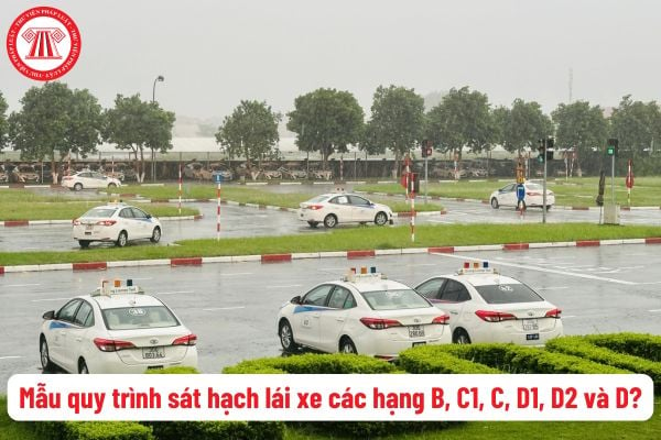 Tải mẫu quy trình sát hạch lái xe các hạng B, C1, C, D1, D2 và D mới nhất? Tiêu chuẩn kỹ thuật sân tập lái dùng để sát hạch lái xe?