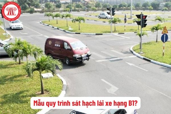 Tải mẫu quy trình sát hạch lái xe hạng B1 mới nhất hiện nay? Việc sát hạch thực hành lái xe trong hình đối với hạng B1 được thực hiện bằng phương pháp nào?