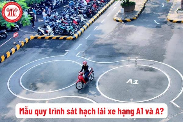 Tải mẫu quy trình sát hạch lái xe hạng A1 và A mới nhất hiện nay? Xét công nhận kết quả sát hạch đối với thí sinh dự sát hạch lái xe hạng A1 và A?