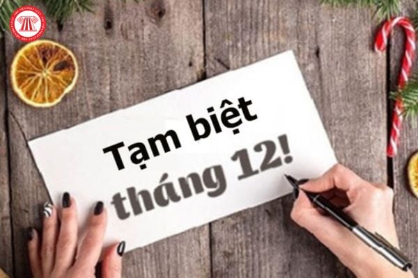 Ngày cuối tháng 12 thứ mấy ngày mấy? STT cuối tháng 12 hay? Ngày cuối tháng 12 có phải ngày nghỉ?