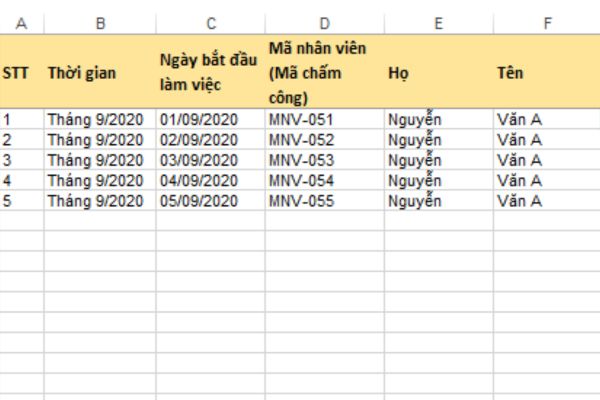 Mẫu excel theo dõi nhân sự mới