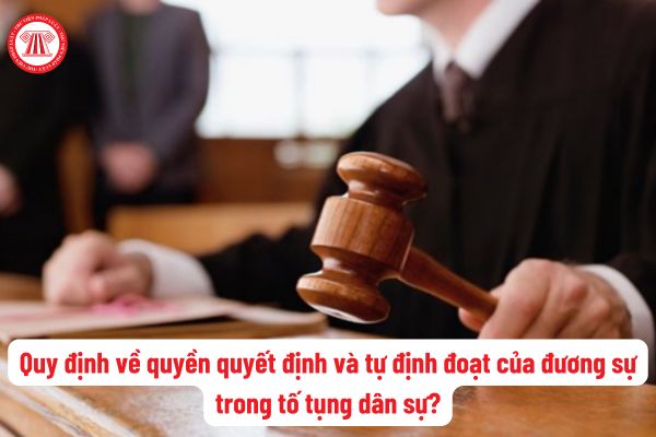 Quyền quyết định và tự định đoạt của đương sự trong tố tụng dân sự được pháp luật quy định thế nào?