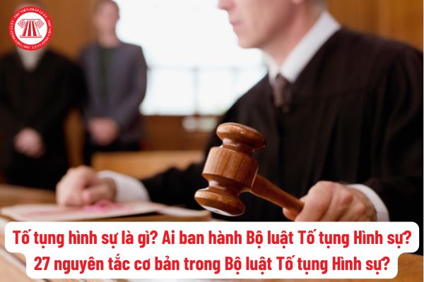 Tố tụng hình sự là gì? Ai ban hành Bộ luật Tố tụng Hình sự? 27 nguyên tắc cơ bản trong Bộ luật Tố tụng Hình sự?