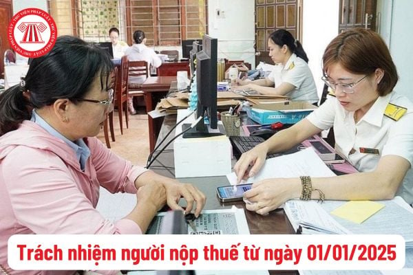 Trách nhiệm của người nộp thuế mới nhất là gì? Quyền của người nộp thuế đã được sửa đổi thế nào?