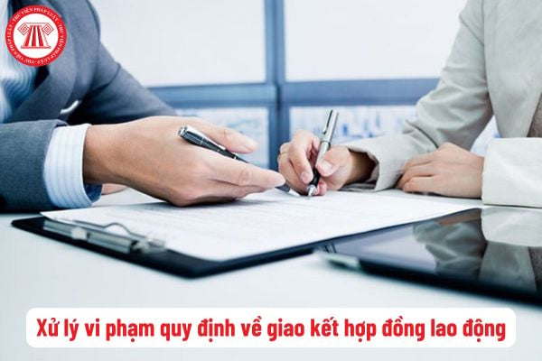 Vi phạm quy định về giao kết hợp đồng lao động xử lý hành chính thế nào? Có được tự do giao kết hợp đồng lao động?