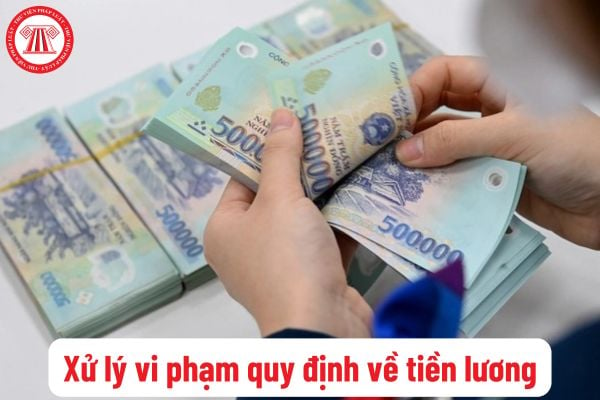 Vi phạm quy định về tiền lương xử phạt hành chính như thế nào? Các khoản bổ sung khác trong tiền lương gồm khoản nào?