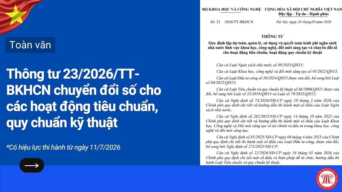 Pháp luật