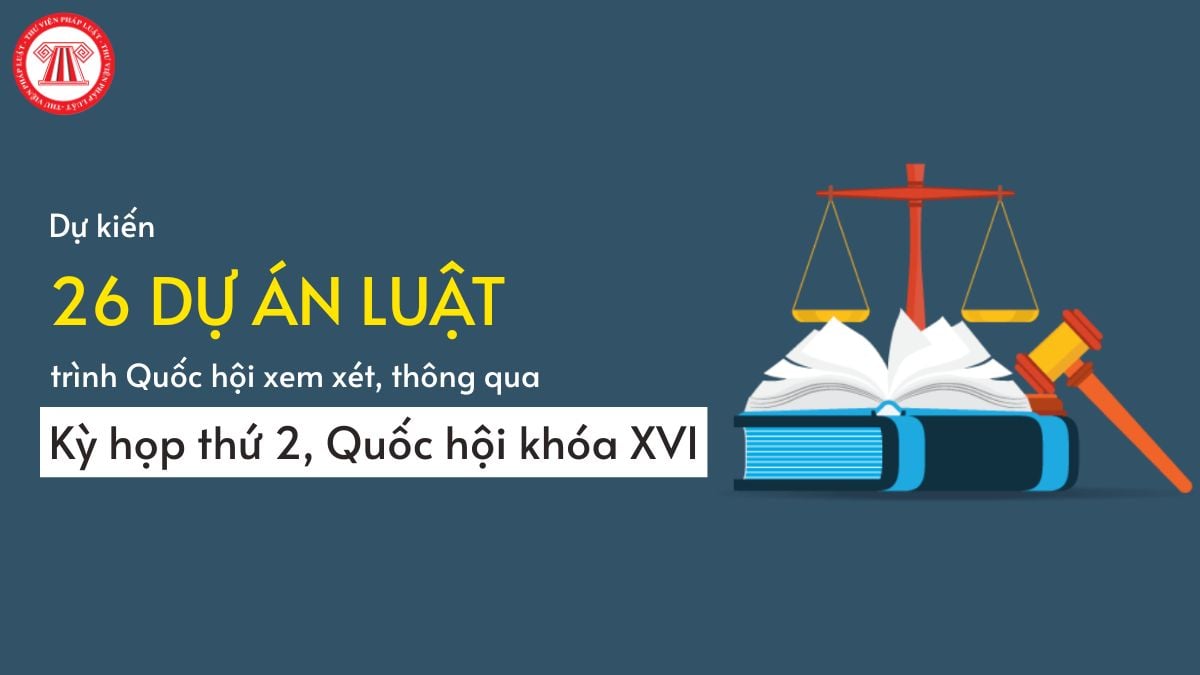 Pháp luật