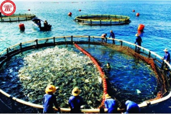 Khi nào chủ cơ sở nuôi trồng thủy sản được xử lý động vật thủy sản mắc bệnh bằng hình thức thu hoạch? 