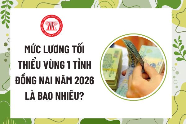 Pháp luật