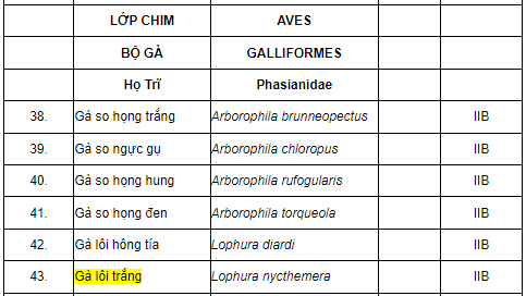 Bên cạnh đó, căn cứ Phụ lục I ban hành kèm theo Thông tư 27/2025/TT-BNNMT quy định về Danh mục các loài, động vật rừng nguy cấp, quý, hiếm như sau: