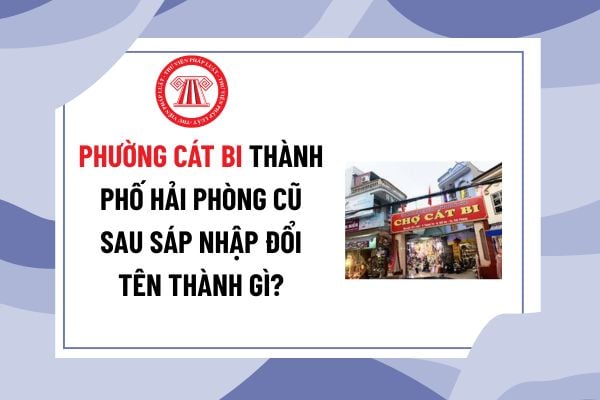 Pháp luật