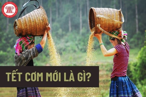 Tết Cơm mới là gì? Tết Cơm mới có phải là ngày nghỉ tết hưởng nguyên lương của người lao động là dân tộc thiểu số không?