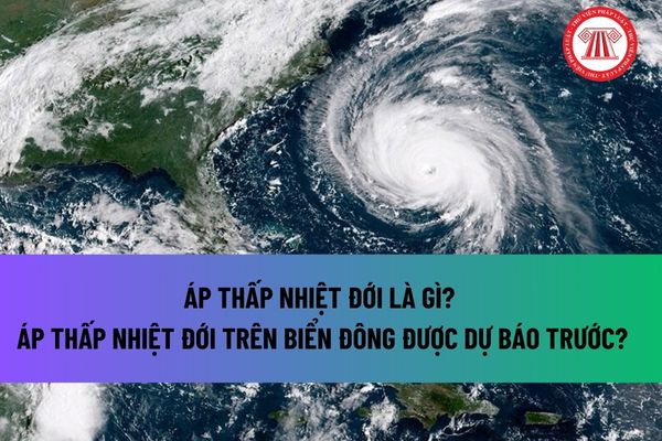 Áp thấp nhiệt đới là gì? Áp thấp nhiệt đới trên Biển Đông được dự báo trước? Áp thấp nhiệt đới đổ bộ khi nào?