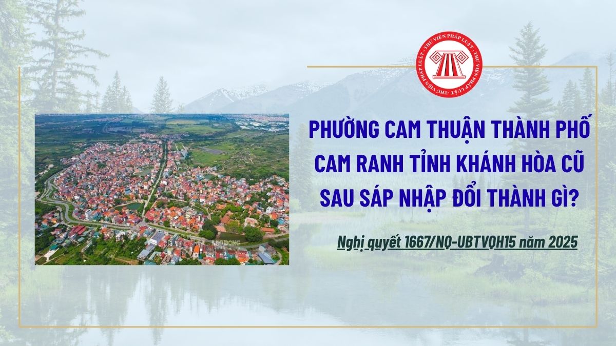 Pháp luật