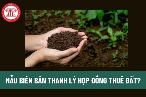 Mẫu Biên bản thanh lý hợp đồng thuê đất? Tải về Mẫu Biên bản thanh lý hợp đồng thuê đất mới nhất? 