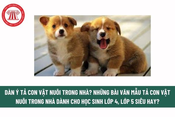 Dàn ý tả con vật nuôi trong nhà? Những bài văn mẫu tả con vật nuôi trong nhà dành cho học sinh lớp 4, lớp 5 siêu hay? 