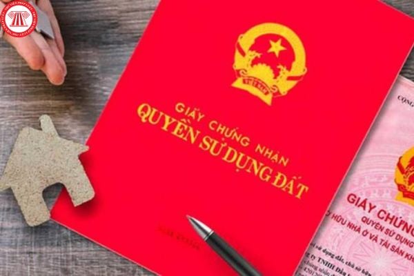 Người trúng đấu giá quyền sử dụng đất có được Nhà nước cấp Giấy chứng nhận quyền sử dụng đất hay không? 