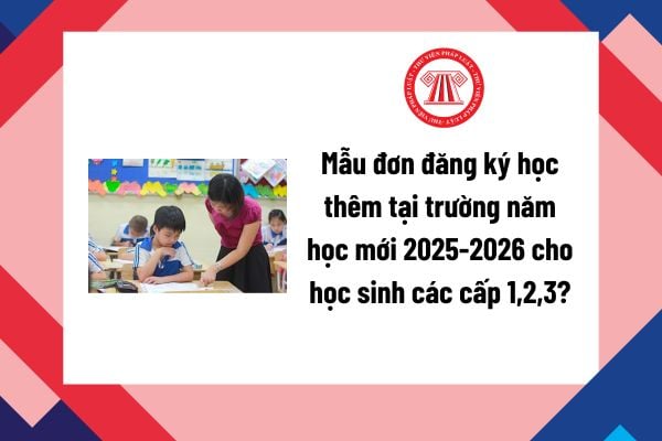 Pháp luật