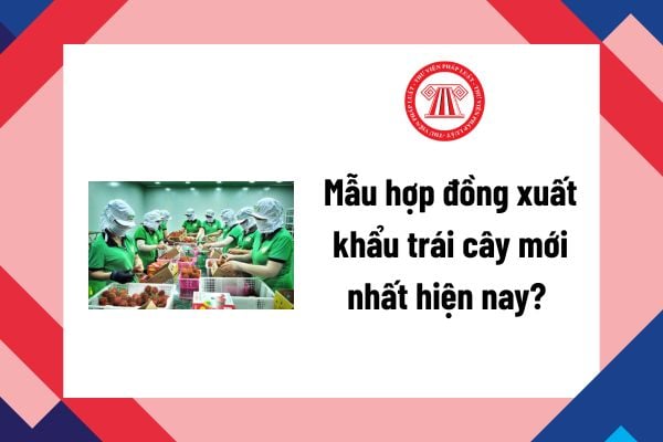 Pháp luật