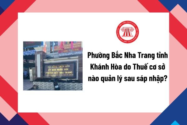 Pháp luật