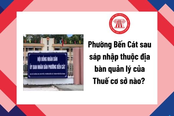 Pháp luật