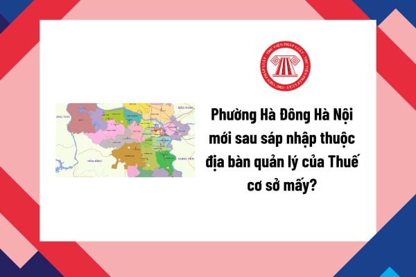 Pháp luật