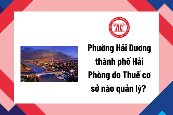 Pháp luật